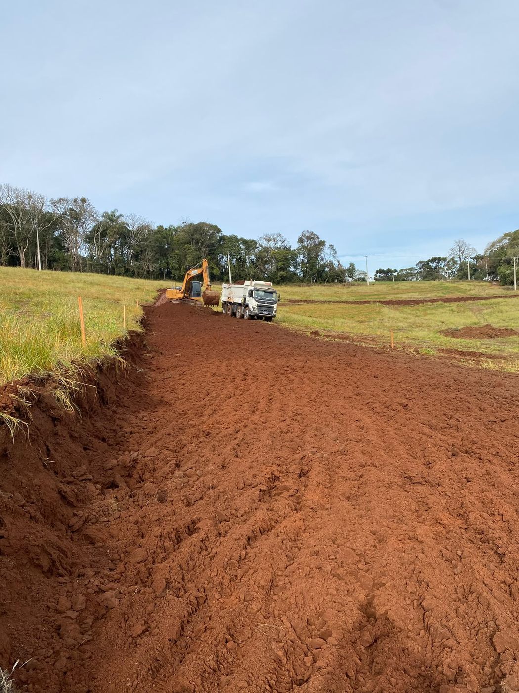 Faixa de terreno já limpa contrastando com a área de pasto ainda intacta, em serviço de limpeza de terreno