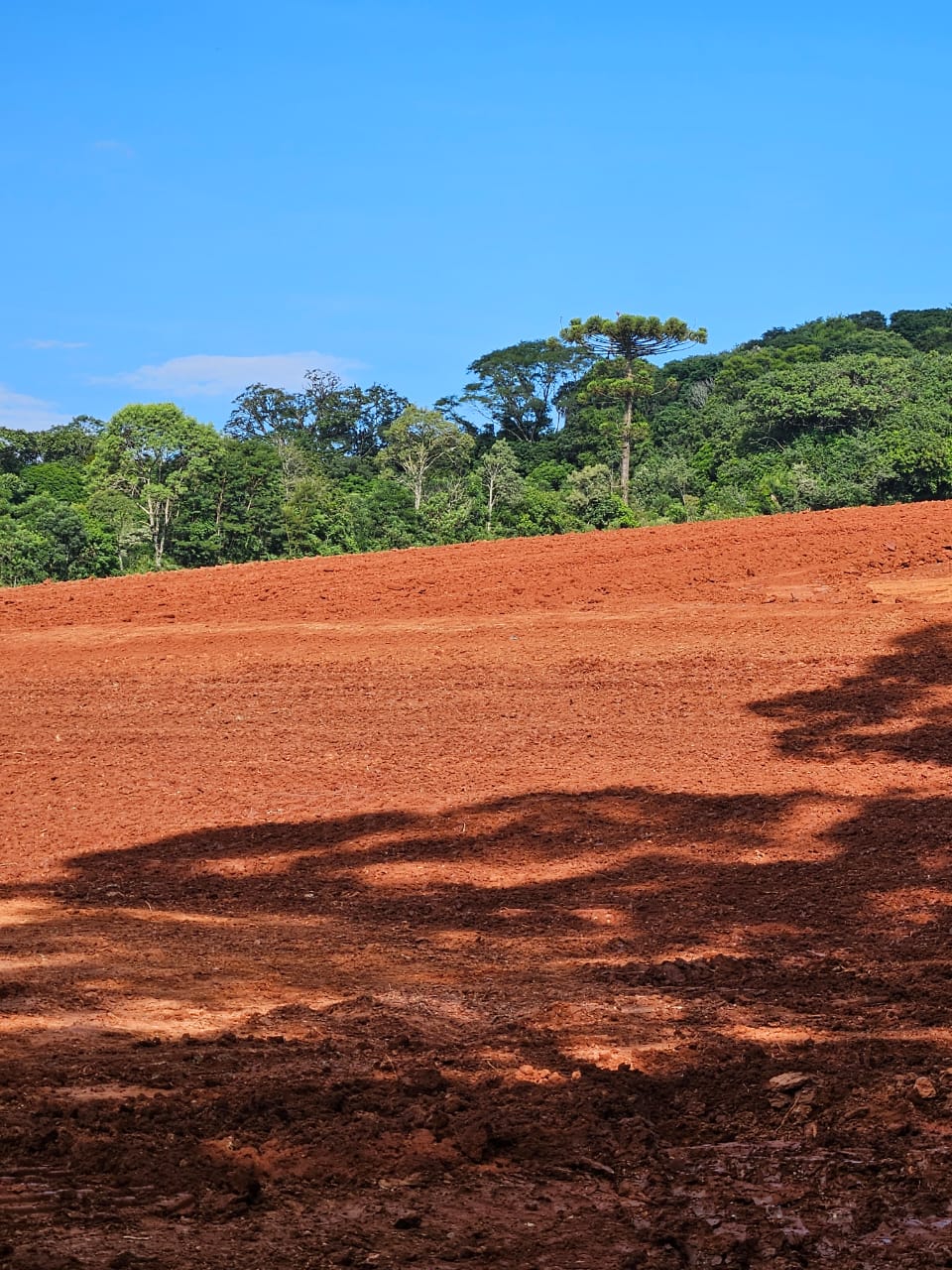 Drum Terraplanagem - Escavadeira John Deere Drum em escavação profunda